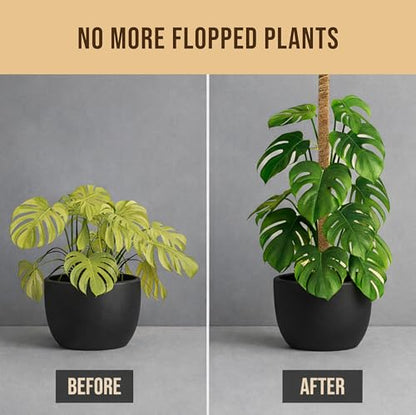 Craft911 Moss Pole Monstera Plant Support, 2 Pack 64" Bendable - size: 2-Pack (64 in)