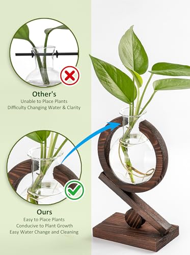 Glass Plant Propagation Station with Wooden Stand, Natural Wood - color: Natural Wood