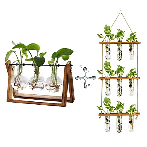 XXXFLOWER Plant Terrarium Propagation Station with Wooden Stand, Air Planter Glass Vase Home Indoor Office Decoration - 3 Bulb Vase + Test Tubes 3 Tiers