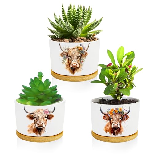 3Pcs Highland Cow Succulent Pots with Drainage and Bamboo Tray,3 Inch - style: Highland Cow