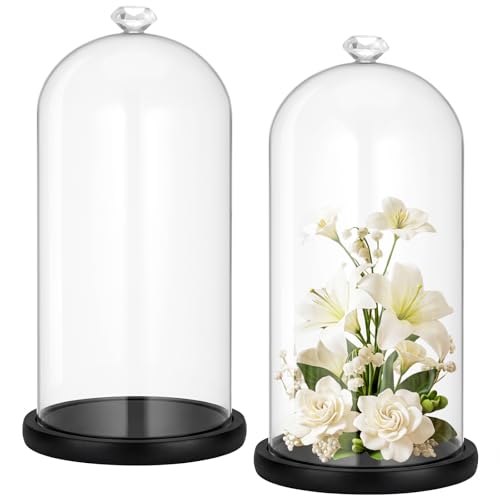 2 Pcs 6 x 10 Inch Cloche Glass Dome with Base Bell Jar, Black | Tall 6x10 Inch Bell Jar, Clear Glass Cloches for Flowers Plants Candle Collectibles, Tabletop Display Case for Figurines - color: Black