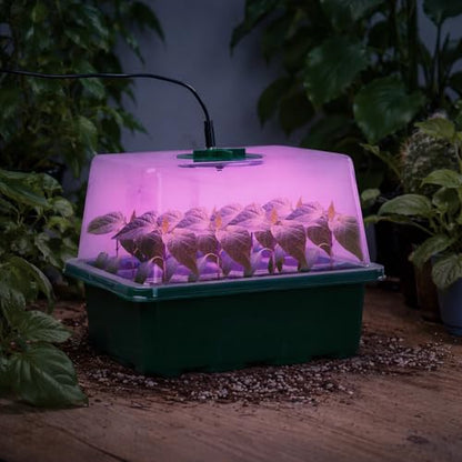 Bonviee Seed Starter Trays with 12-LED Grow Lights, Green, 5 Pack | 5 Seed Starter Kits, 60 Cells, 12-LED Grow Light per Tray, Vented Humidity Domes, Drainage Holes, 1-to-5 USB Cable - color: Green, size: 5 Packs, with Light