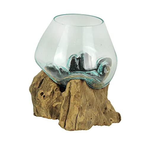 Molten Glass Vase on Teak Driftwood, 7.5 Inch | Clear Hand-Formed Bowl, Natural Wood Base, For Succulents, Air Plants, Herbs or Desktop Terrariums