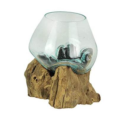 Molten Glass Vase on Teak Driftwood, 7.5 Inch | Clear Hand-Formed Bowl, Natural Wood Base, For Succulents, Air Plants, Herbs or Desktop Terrariums
