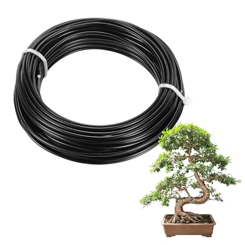 M METERXITY 1-Pack Bonsai Training Wire, 2mm x 33ft/10m Anodized Aluminum Bonsai Tree Wire for Gardening Branch/Fine Trunk/DIY Crafting [Black] - color: Black, size: 2mm