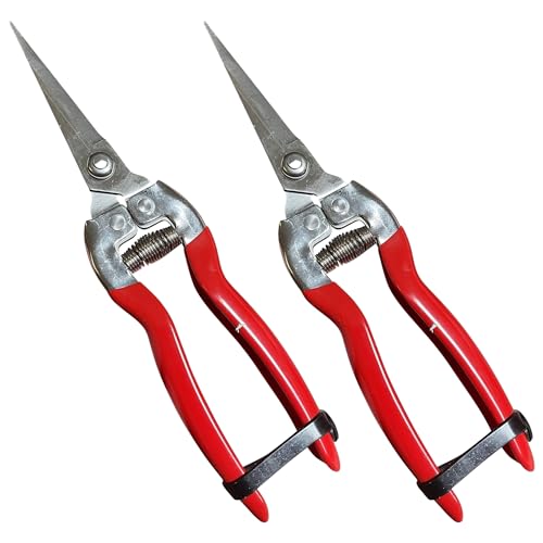Garden Guru Straight Stainless Steel Pruner Pruning Shears Clippers Snips Sharp Bonsai Cutter Plant Trimming Scissor Straight Blade Garden Scissors Tool -Great for Roses Flowers Herbs Fruits (2 Pack) - size: 2 Pack, style: Snips