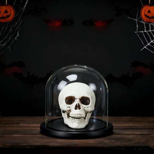 Sratte Plastic Human Skull Model Glass Dome Wood Base Gothic Halloween | Tabletop Centerpiece for Mantel Fireplace, Spooky Party Gothic Home Decor, Realistic Skull Display, Flower Candle Holder
