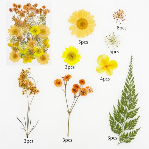 Cayway 33 PCS Dried Pressed Flowers for Resin, Real Pressed Flowers Dry Leaves Kit Natural Dried Pressed Leaves for Art Crafts Resin Scrapbook Supplies Soap Candle DIY, Yellow - color: Yellow-orange-33