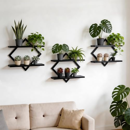 Set of 3 Wall Plant Holder Wall Planters for Indoor Plants Window Plant Shelves Plant Stand Indoor Floating Wall Shelves for Plant Hanger Indoor for Plants, Books, Photos wall Decor (Black) - color: Black, size: 3 Pack