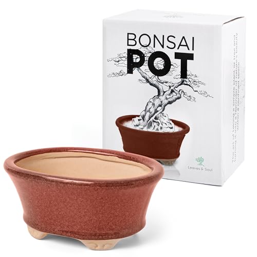 Glazed Ceramic Bonsai Pot, Dark Red Oval Bonsai Planter for Home & Garden | Durable Glazed Finish for Indoor & Outdoor Display; Perfect for Bonsai Tree, Succulents & Small Plants in a Bonsai Container - color: Dark Red