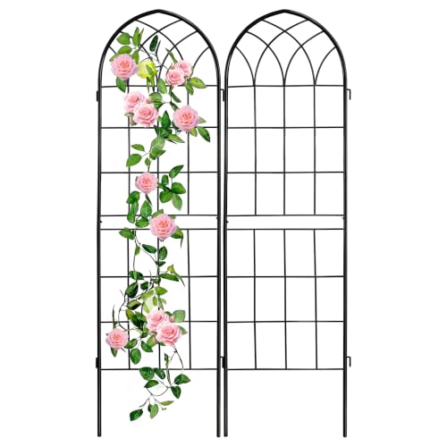2 Pack 71x20in Rustic Iron Arch Decoration Garden Trellis with Black Metal Coating – Perfect for Supporting Climbing Plants Outdoor, Roses, Vines, Flowers, and Vegetables. - color: Carbon Black, size: 71"H x 40"W