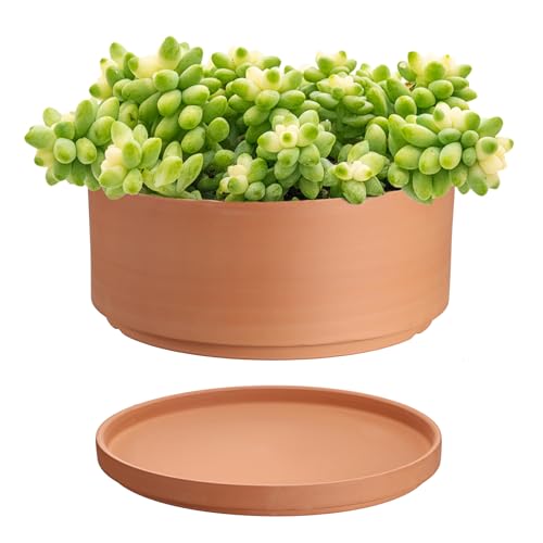 JUXYES 10 Inch Shallow Terracotta Pots with Holes and Saucers for Succulent | Built-in Drainage Hole, Wide Shallow Planter Clay Flower Pots for Indoor & Outdoor, Planter for Succulent, Cacti, Bonsai - size: 10 Inches