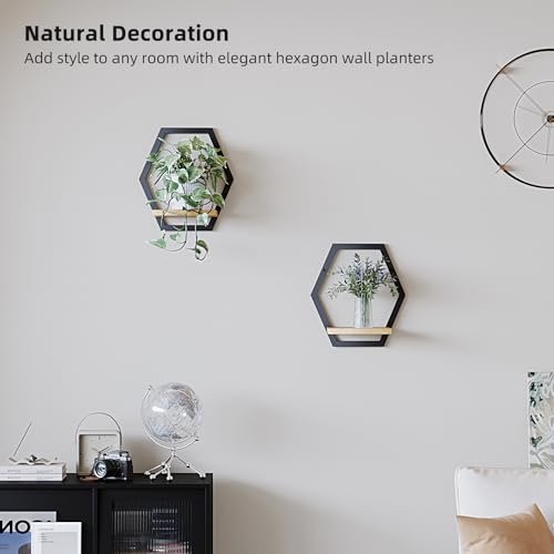 2 Pack Hexagon Wall Plant Stands, 9 Inch Wood Shelf Black - color: 2 pack black