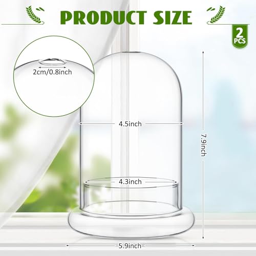 2 Pcs 5.9 x 7.9 Inch Glass Terrarium Dome Cloche with Air Hole & Glass Base, Clear Terrarium Containers Ventilated Plant Humidity Dome for Carnivorous Plants Orchids Tropical Cuttings, No Leakage - size: 5.9 x 7.9 Inch