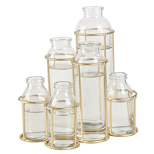 Flower Vases with 6 Bottle Crystal Clear Glass Flower Vase with Metal Stand Propagation Station Plant Display Holder Set for Home or Wedding Décor