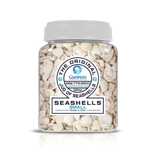 32 oz Jug of Natural Small Seashells with Pieces, ⅛-½ inch Size, for Indoor Outdoor Decor, vase Filler, Candles, Art, Crafts, Aquariums, Gardens, planters, tablescapes, terrariums - color: Natural Seashell, size: Small