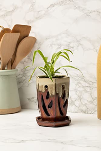 rePotme Houseplant Soil - Spider Plant Imperial Houseplant Potting Soil Mix - Mini Bag (2 Quarts) - color: Spider Plant, size: Mini Bag - 2 Quarts