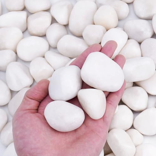 Pulovin 5 lbs White Rocks for Plants Indoor, 1-2 inch Decorative Garden Stone Outdoor Landscaping, Walkways, Yard, Large Polished River Rocks for Plants Pots, Vases, Crafts - color: White