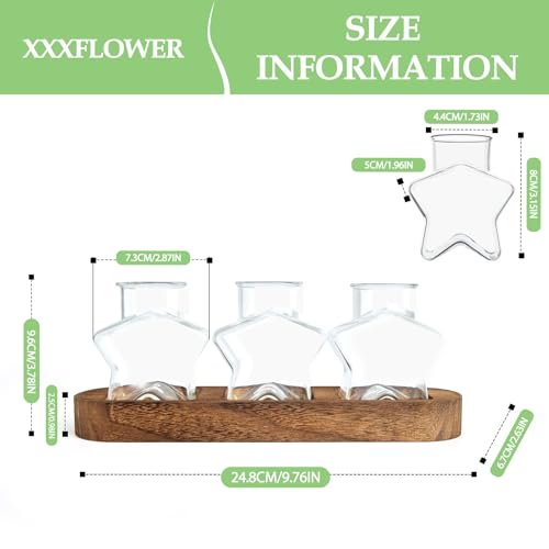 XXXFLOWER Plant Propagation Station with Wooden Stand+Wall Hanging Propagation Station