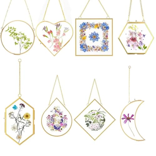 Pressed Flower Frames, Double Glass Hanging Picture Frames (8PCS) | Gold Wall Decor Frames with Chain for Dried Flowers & Plants, Includes Tweezers, Display Frame for Botanical Crafts - size: 8PCS