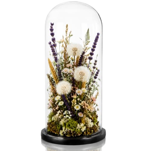 ZOOFOX 13.8 Inch Tall Glass Dome with Base, Clear Glass Empty Display Cloche, Decorative Bell Jar for Succulents, Collectibles, Fairy Lights, Photos, Medals, Heirlooms