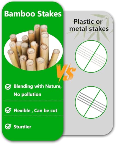 Natural Bamboo Plant Stake（3FT 50Pcs） Sturdy Bamboo Poles, Durable Plant Bamboo Stake, Garden Climbing Plant Bracket. - size: 3ft-50pcs
