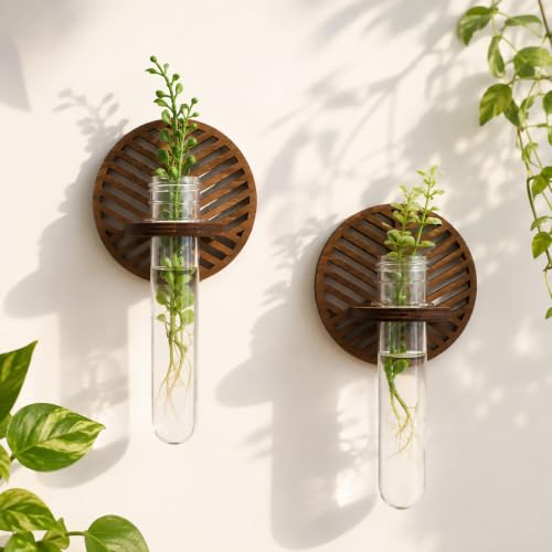 Artilady Plant Propagation Station Wall Hanging, Wood Arch Terrariums Tube | Boho Air Plant Holder for Indoor Plants, Window Propagation Stations Vases for Bedroom Living Room Geometric Wall Decor, 2pcs - color: Round