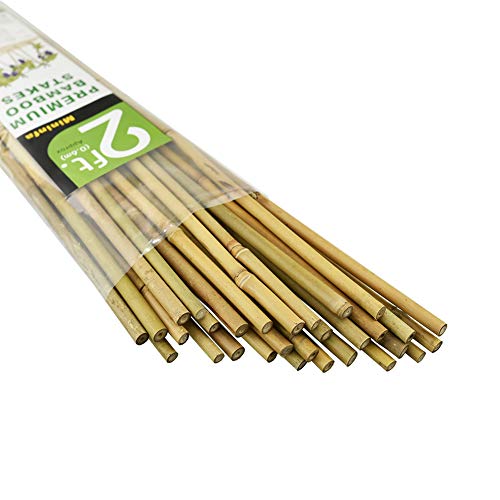Natural Bamboo Stakes 2 Feet, Eco-Friendly Garden Stakes, Plant Stakes Supports Climbing for Tomatoes, Trees, Beans, 30 Pack