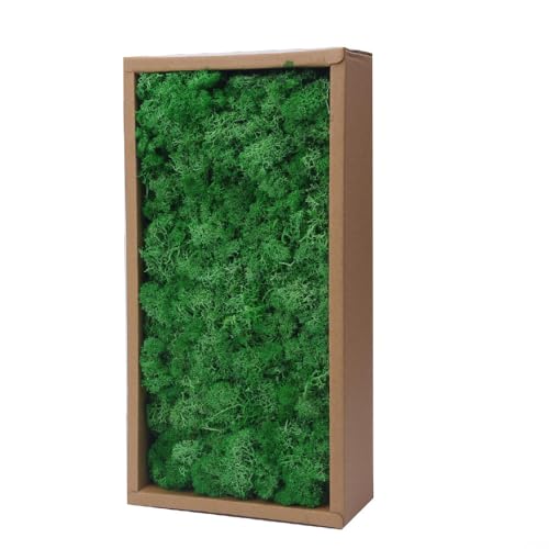 Preserved Reindeer Craft Moss-17.6oz Natural Green DIY Kit Gardenning Art Wall Florist Moss Terrariums Gardenning Decor Landscape Garden Decor(Leaf Green 17.6 OZ) - color: LEAF GREEN, size: 1.1LB