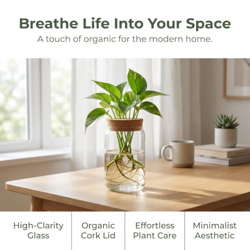 Propagation Stations, Desktop Plant Terrarium Glass Hydroponic Vases, Water Plant Jars, Gardening Gifts for Women Mom Plant Lovers, for Hydroponics Home Garden Office Decoration