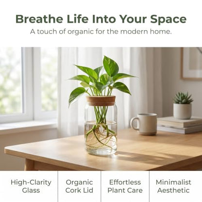 Propagation Stations, Desktop Plant Terrarium Glass Hydroponic Vases, Water Plant Jars, Gardening Gifts for Women Mom Plant Lovers, for Hydroponics Home Garden Office Decoration