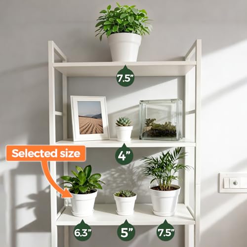 T4U Plant Pots Indoor 6 Inch 8 Pack, Plastic Flower Pots with Saucer White | Peace lily spider ivy, Kitchen windowsill shelf, Houseplant herbs basil, Durable lightweight - color: White, size: 6 inch