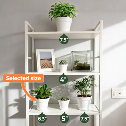 T4U Plant Pots Indoor 6 Inch 8 Pack, Plastic Flower Pots with Saucer White | Peace lily spider ivy, Kitchen windowsill shelf, Houseplant herbs basil, Durable lightweight - color: White, size: 6 inch