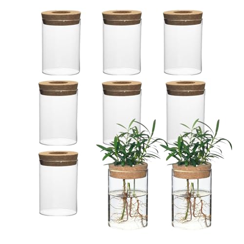 Separated Desktop Glass Flower Vases with Wooden Saucers - Ideal Plants Propagation Stations for Living Room, Bedroom Decoration,Home Decor (9)