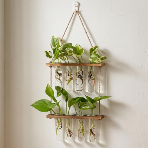 1-Piece Wall Hanging Planter, 2 Tier Glass Test Tube Vase with Wooden Stand for Hydroponic Plant Propagation