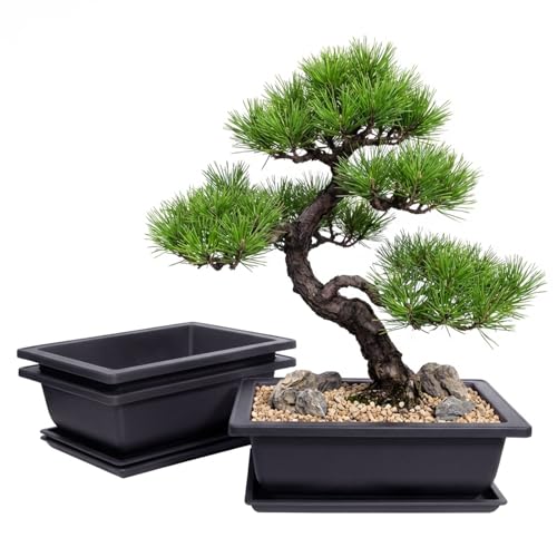 Plastic Bonsai Tree Pots (Rectangle, 3pcs-9.2") | Bonsai pots with Humidity Tray and Drainage, suitable for growing potted plants in both indoor and outdoor gardens - size: 3pcs-9.2", style: Rectangle