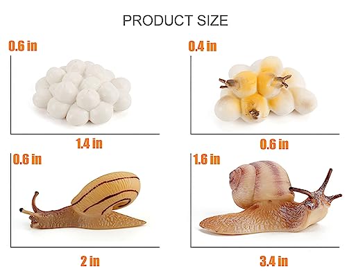 Montessori Life Cycle Animal Plastic Insect Figurines Learning & Education Toys for Kids, Preschool Activities (Snail) - color: Snail