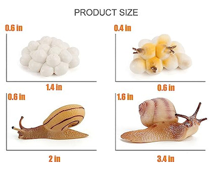 Montessori Life Cycle Animal Plastic Insect Figurines Learning & Education Toys for Kids, Preschool Activities (Snail) - color: Snail