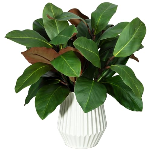 XONOR Artificial Magnolia Leaves Branches Fake Greenery Leaf Faux Magnolia Stems Leaves for Indoor Outdoor Vase Home Office Table Farmhouse Bathroom Decoration (6Pcs, 18'')