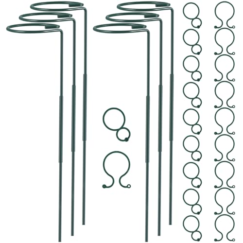 Plant Stake Support, Adjustable Height 16" or 30" for Garden Support Stake | 6 Pack Plant Cage Support Rings, Single Stem Plant Support Stakes, for Flowers Amaryllis Tomatoes Peony Lily Rose (30inch) - size: 30inch