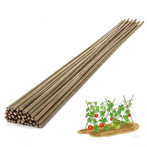 Bamboo Stakes,4.8Ft,50Pack,Bamboo Garden Stakes,for Tomato,Beans,Vegetable and Flowers, Potted Plants,Indoor and Outdoor Climbing Plants - size: 4.8Ft,50Pack
