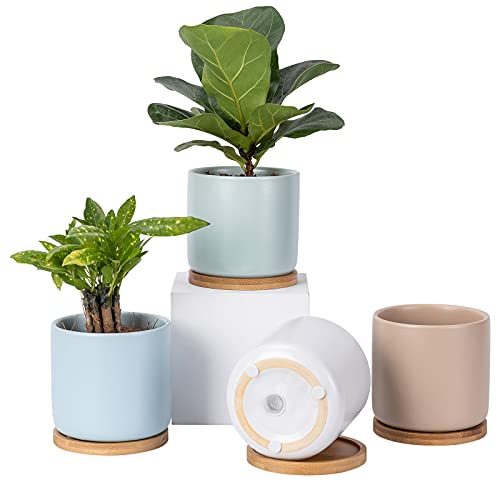 Succulent Pots, 4 Inch Ceramic Planter Plant Pot with Tray, Drainage Hole & Mesh Pad for Indoor Flowers, Cactus, Herbs, Aloes - Cool Multicolor, Set of 4 (Plant Not Included) - color: Cool Multicolor