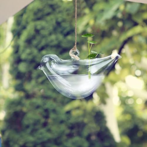 ORFOFE Hanging Glass Vase Small Clear Hydroponic Planter Bird Shape Flower Holder Wall Decor for Indoor Home Office Bedroom Micro Landscape