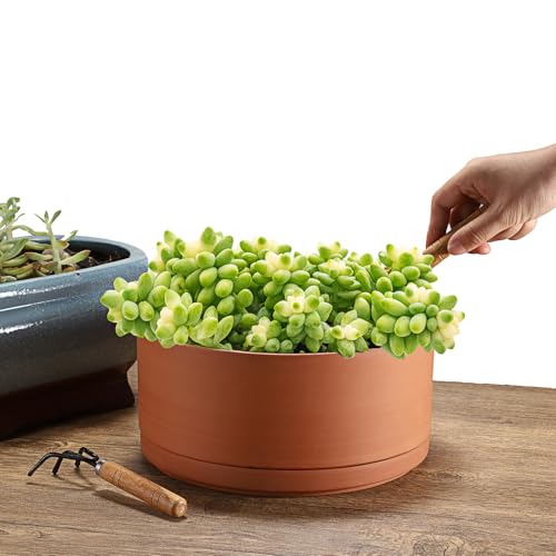 JUXYES 10 Inch Shallow Terracotta Pots with Holes and Saucers for Succulent | Built-in Drainage Hole, Wide Shallow Planter Clay Flower Pots for Indoor & Outdoor, Planter for Succulent, Cacti, Bonsai - size: 10 Inches
