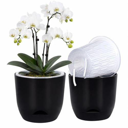QCQHDU 5.7Inch Orchid Pots with Holes for Repotting, Double-Layer Plastic Self Watering Flower Pots for Indoor Plants with Drainage Holes, Clear Orchid Pot Match Decorative Orchid Container, 1 Pack - color: Black, size: 1pack 5.7IN