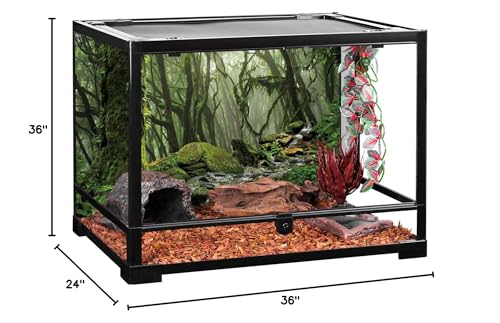 36x24 in Terrarium Backdrop Foggy Forest Stream Reptile Habitat Background - size: 36x24in/90x60cm