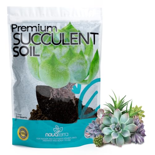 Novaterra Succulent Potting Soil Mix for Indoor Succulents, 2.4 Quarts - color: Succulent Soil
