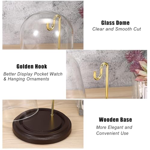 JUXYES Clear Glass Pocket Watch Display Dome Case with Base, 3x4 Inches | 2 Pack, Clear Glass, Dust Proof, Bell Terrarium Jar with Hanging Hook, For Pocket Watch Collectors and Antique Enthusiasts - size: M - 2 Pack
