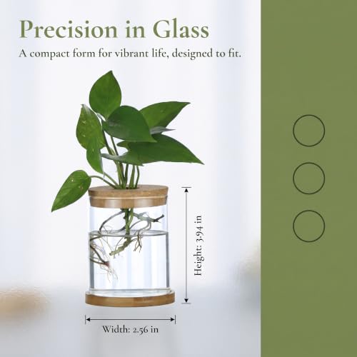 Propagation Stations, Desktop Plant Terrarium Glass Hydroponic Vases, Water Plant Jars, Gardening Gifts for Women Mom Plant Lovers, for Hydroponics Home Garden Office Decoration