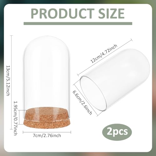BENECREAT 2 Pcs Glass Display Cloche, 2.8x5.1 inches Bell Jar Dome with Cork Base, Display Dome Glass for Flower, Plant, Miniature and Craft, Home Decoration, ID: 2.6 inches - size: 2.8x5.1 Inch